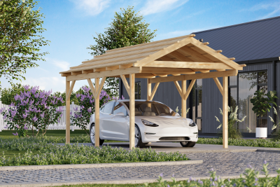 Fjordholz Carport Modell X1S