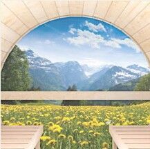 Glas- Rückwand für Fass- Sauna Modell Quadro